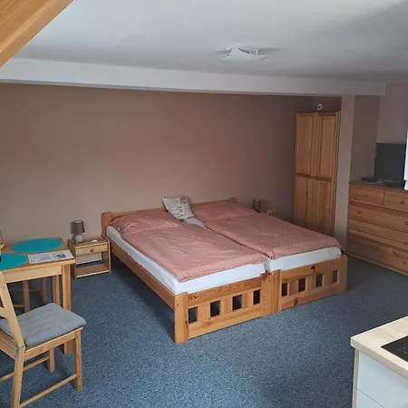 Joanna Apartment Frantiskovy Lazne