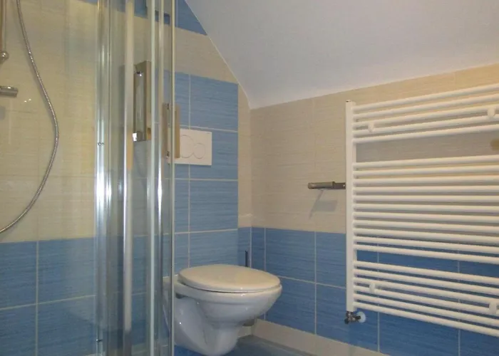 Joanna Františkovy Lázně