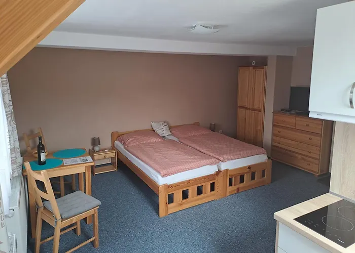 Joanna Apartmán Františkovy Lázně